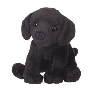 Lucy Black Lab