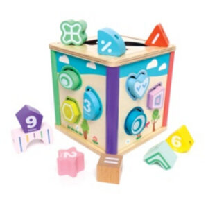 Wooden Block Toys