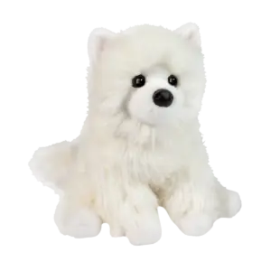 Opo White Pomeranian