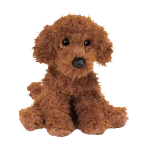 Ginger Miniature Poodle