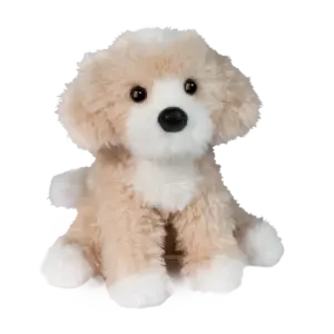 Darcy Golden Doodle