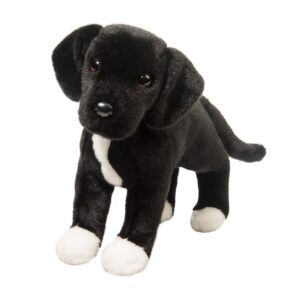 Twister Black Lab/Pit Bull Mix