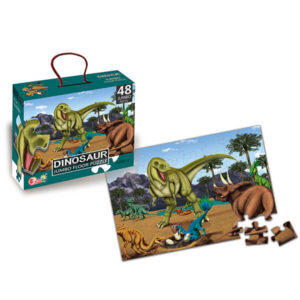 Puzzle Toys for Adults