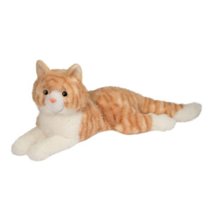 Mango Orange Cat