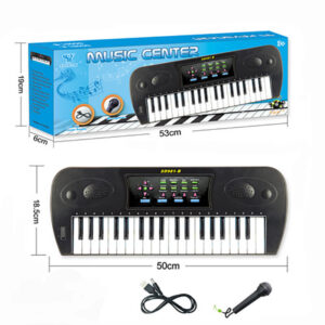 Wired Electronic Organ