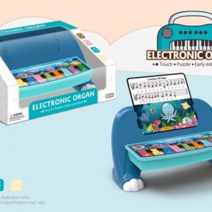 Education Music Piano