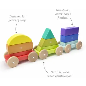 Tegu Magnetic Shape Train