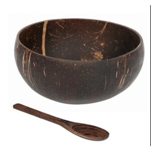Coconut shell bowl + wooden spoon