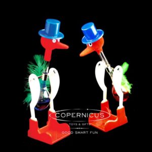 Thermodynamic Drinking Bird Experiment
