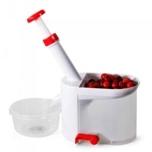 Cherry stone removal device