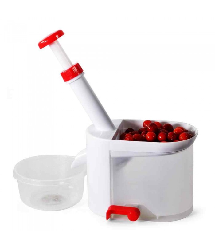 Cherry stone removal device