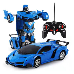 Robot RC Car