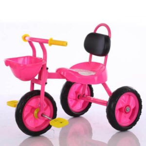 Kid On Tricycle