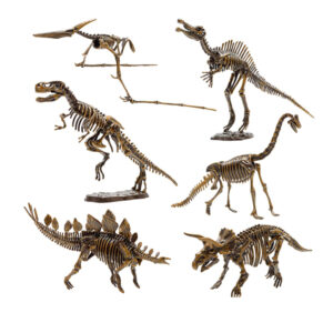 Dinosaur Fossil Skeletons