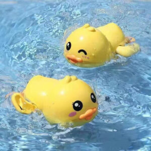 water duck