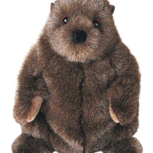 Chuckwood Groundhog