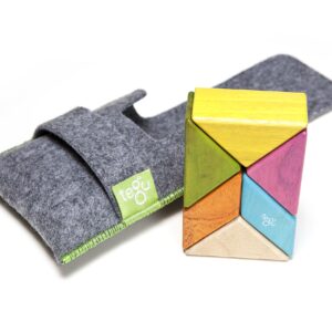 Tegu Pocket Pouch Prism