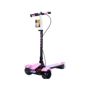 Electric Scooters
