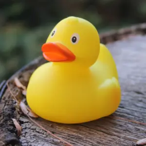 Funny Rubber Duck