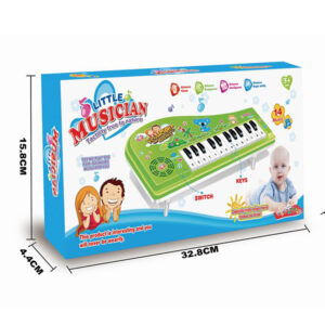 kids Electronic Organ