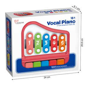 Music Educational Toys